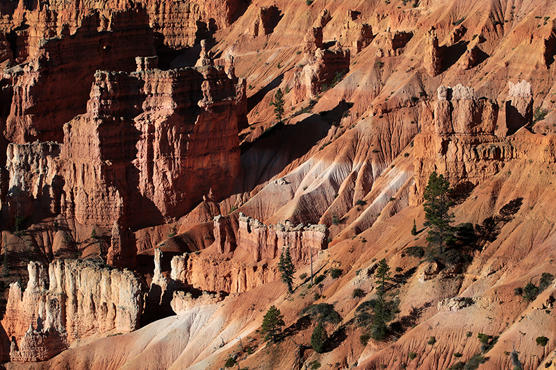 Bryce Canyon : Utah : Landscape Photos : Richard Moore : Photographer